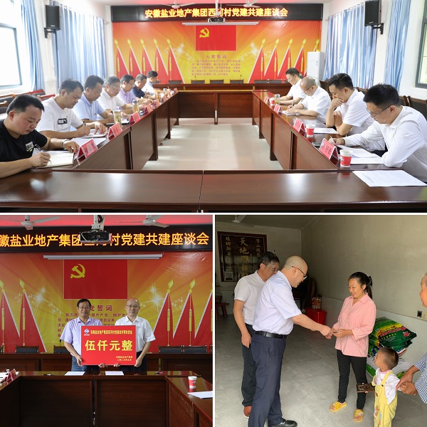 安徽盐业地产集团党委赴西河村开展结对共建帮扶慰问活动